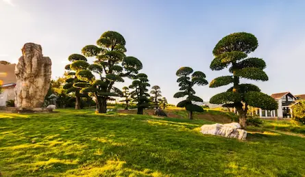 Jingshan City: A Timeless Gem in the Heart of Hubei